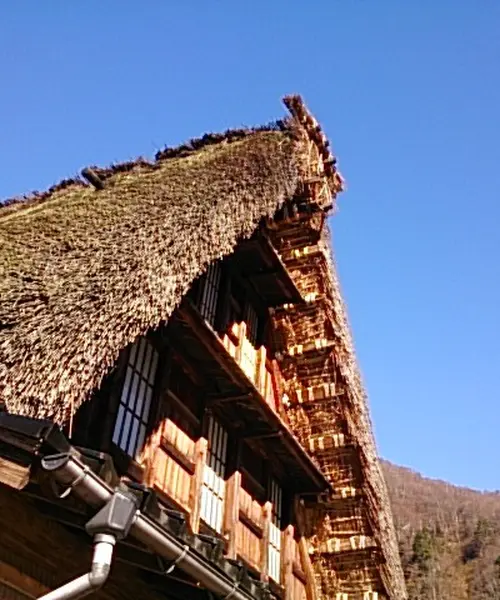 一泊白川郷から下呂温泉♨︎から郡上八幡までの旅🥰