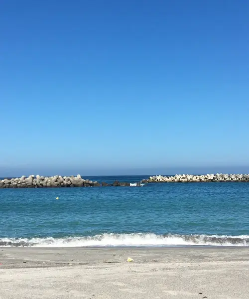 新島でのんびり1日プラン🌊💙
