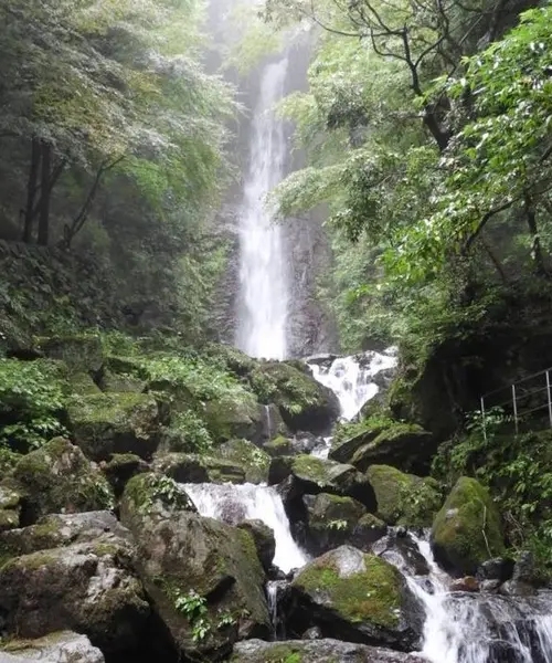 岐阜ドライブ