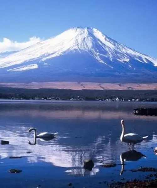 山中湖・河口湖で富士山とスイーツと手作り体験を楽しむ旅