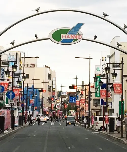 歩け！彼岸花日帰り散策