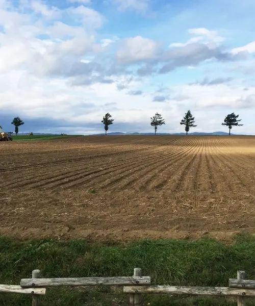 北海道観光！3泊4日の旅♡2日目編♡
