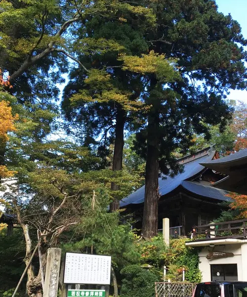 紅葉のやまがた(1泊2日)