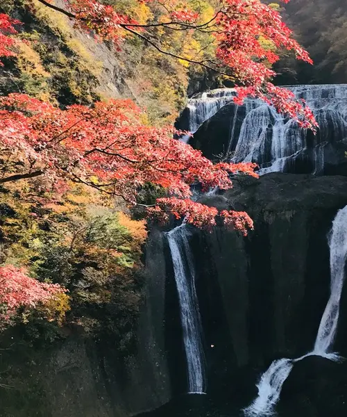 水戸発！日帰りで奥久慈・大子町めぐり