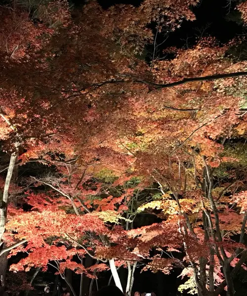 秩父で秋を感じる紅葉デート🍁
