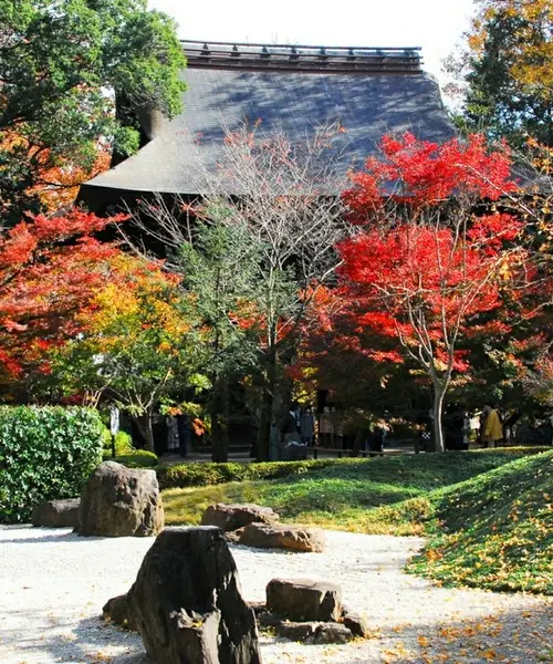 都内で紅葉を楽しむ（世田谷区と近隣）