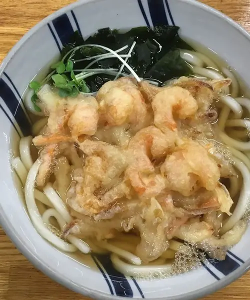高知旅