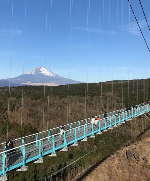 北伊豆の富士山絶景ポイント