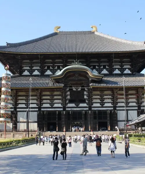 東大寺お水取りと奈良三名椿を巡る旅。