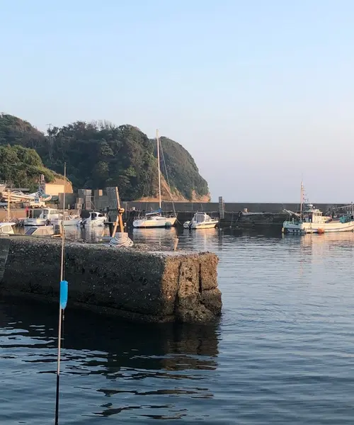 千葉の勝浦の貸切クルーザー海釣り！