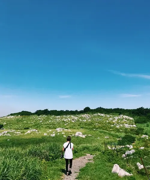 しまなみ海道から渡る高知ざっくり一周女子旅👭