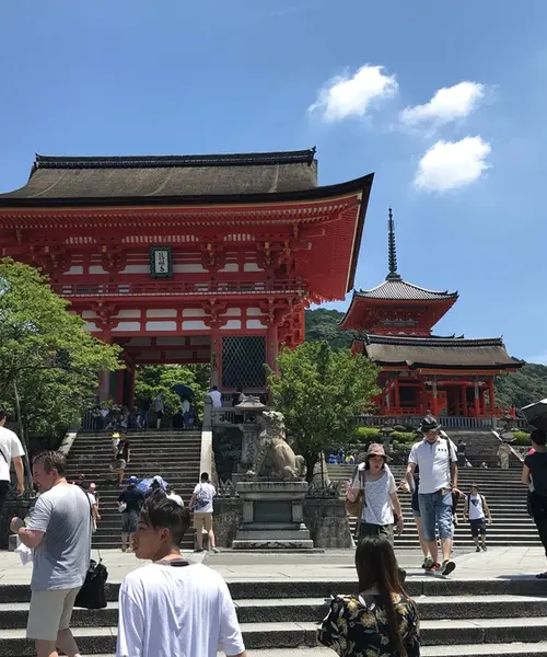 浴衣で京都1日観光    八坂神社〜清水寺〜三十三間堂  美味しいお蕎麦と川床ディナー