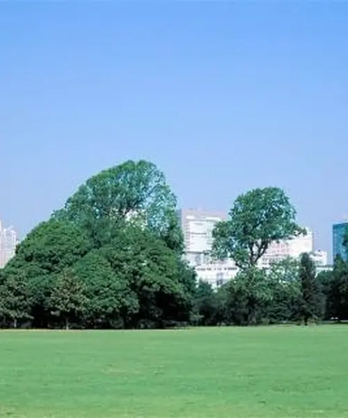 東京〜新宿御苑〜おでかけ