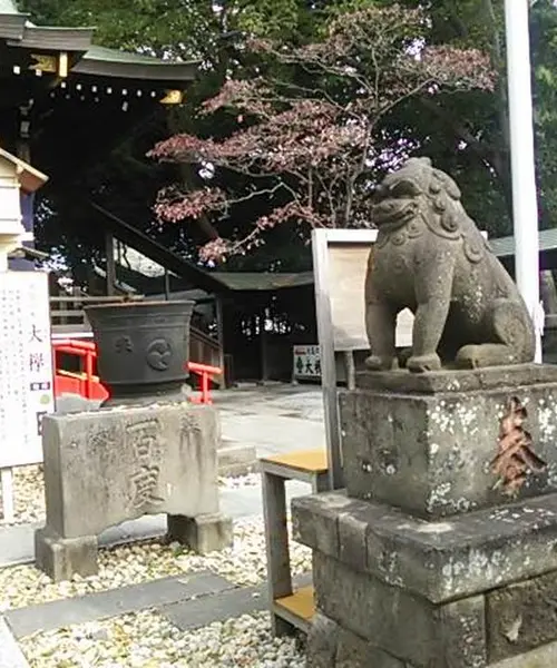 【2022年5月22日放送分】フジテレビ「なりゆき街道旅」で紹介されたお店【埼玉県・川口】