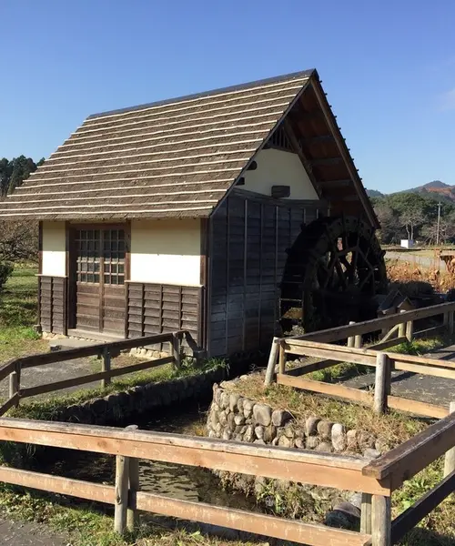 三峯神社と彼岸花をめぐりに埼玉へ日帰りひとり旅