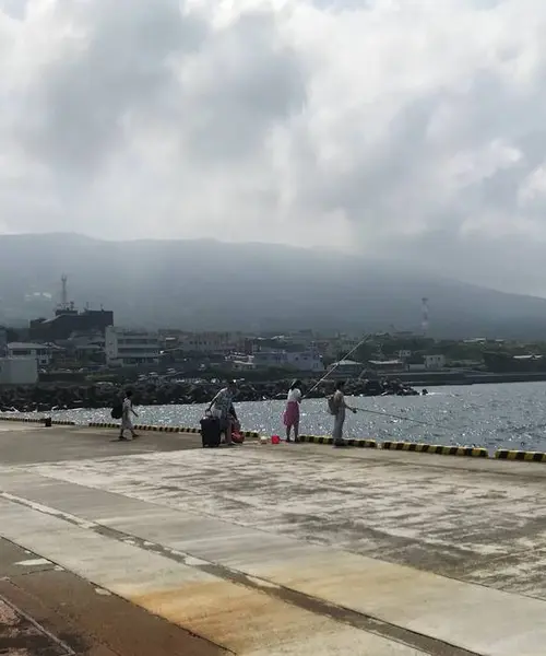 伊豆大島探索🚶‍♂️