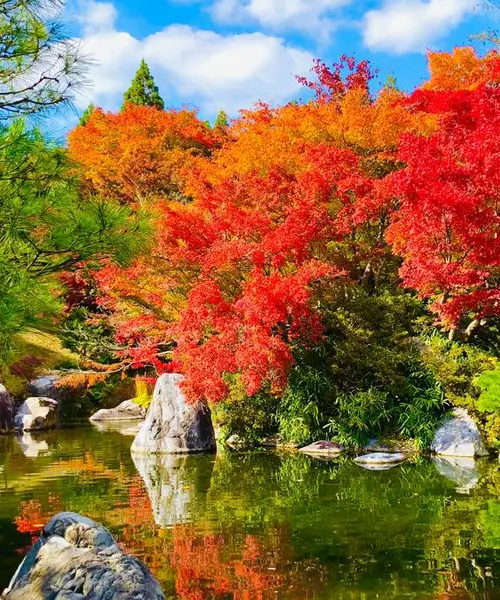 紅葉と芸術の秋🍁