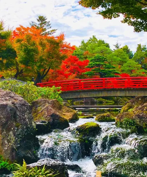 島鳥岡紅葉ドライブ