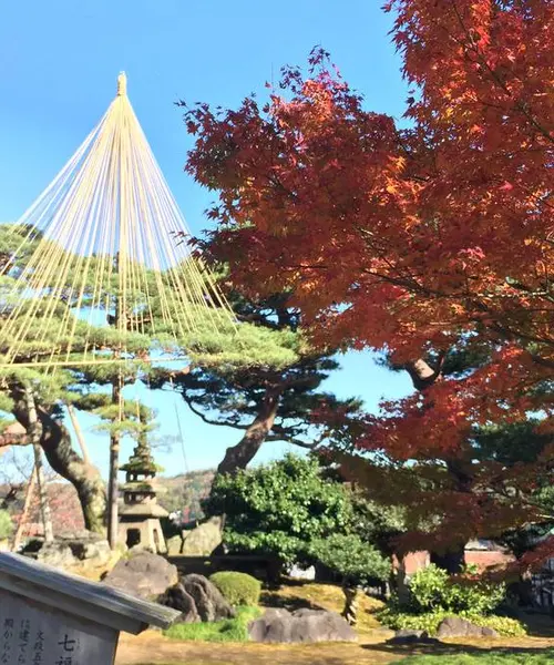 晩秋の北陸三県の旅🍁 富山 金沢 福井 プラス白川郷