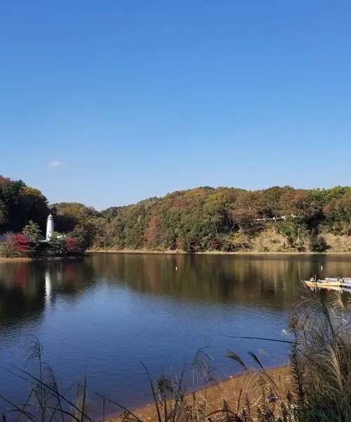 森と湖の楽園                      メッツァ、ムーミンバレーパークへ