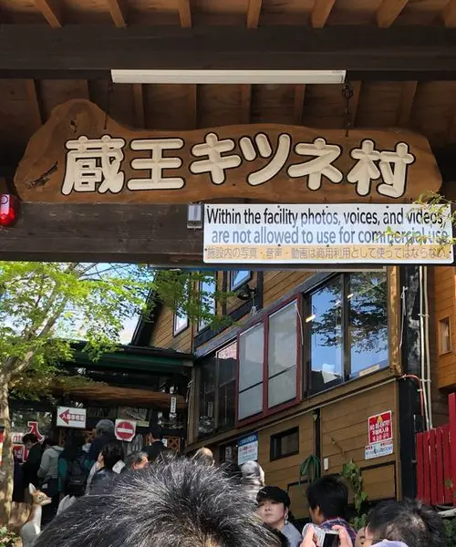 春の宮城 キツネと松島ぶらり旅