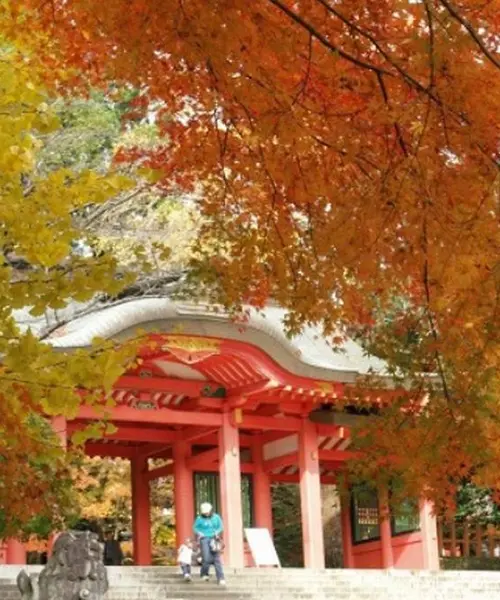 紅葉🍁香取神宮⛩と成田山新勝寺と食べ歩き🍡🍘