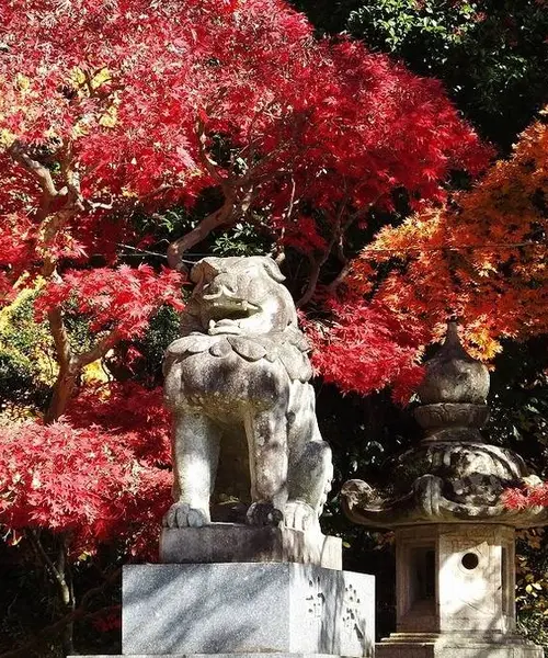 紅葉🍁香取神宮@茨城スポット🚘
