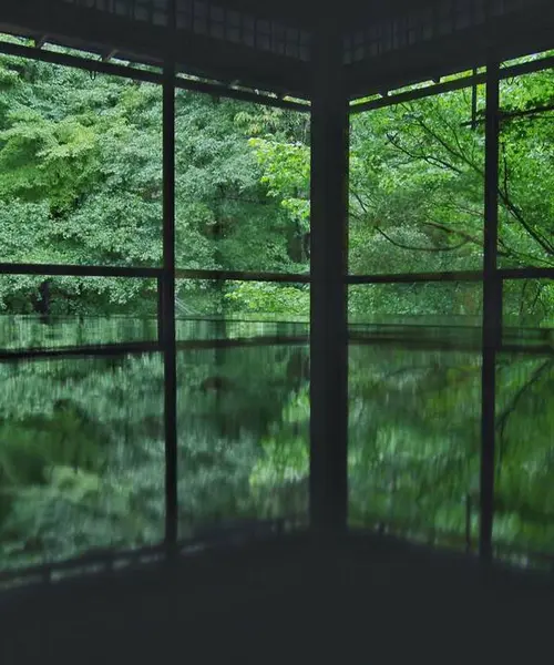 秋の京都🍁洛北ぶらり旅