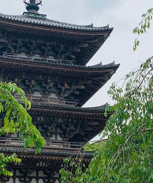 神仏巡り❁京都市東山区・伏見区(随時更新)