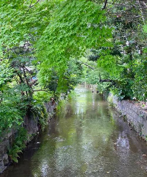 3泊4日京都の自然を堪能する一人旅☾