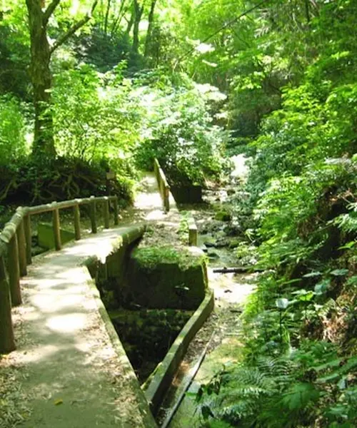 大楠山で絶景ハイキング