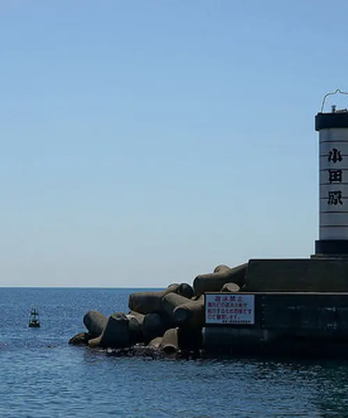 小田原漁港で美味しい魚を堪能した後は、相模湾を一望できる一夜城ヨロイヅカファームで絶品スイーツを！