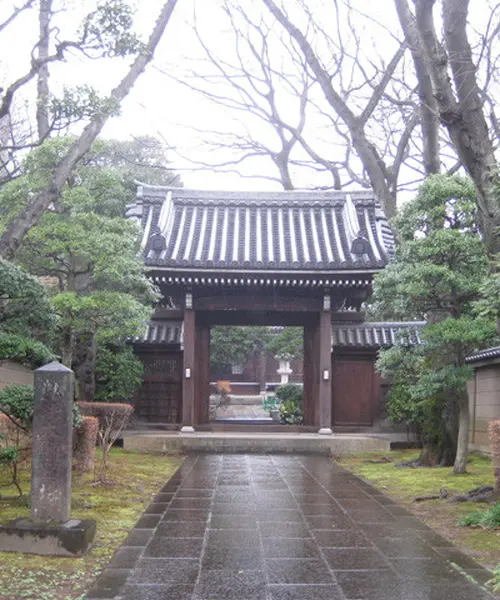 おさんぽ🚶‍♀️ときわ台