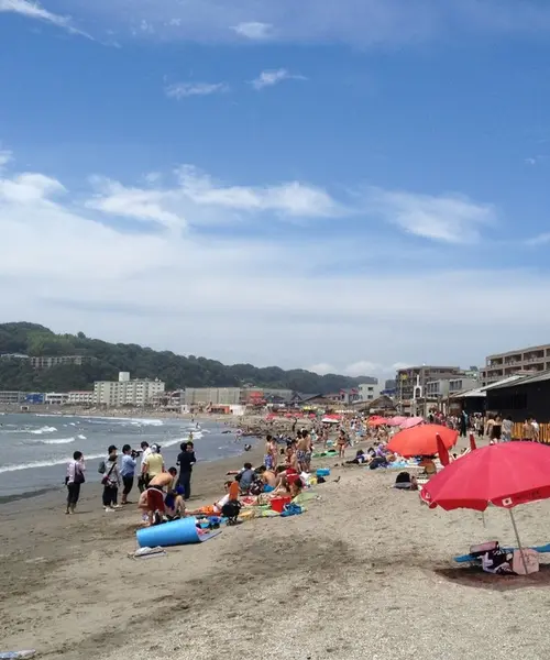 逗子・葉山のお気に入り