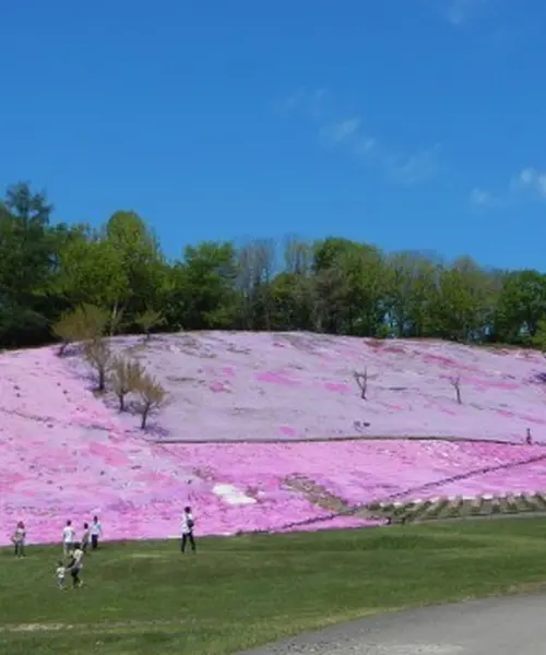 【北海道】ホリデースタッフが次に注目している遠軽エリアの緑豊かな自然と歴史が融合する癒しの旅プラン