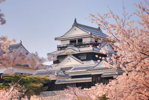 贅沢！愛媛を全て満喫する旅