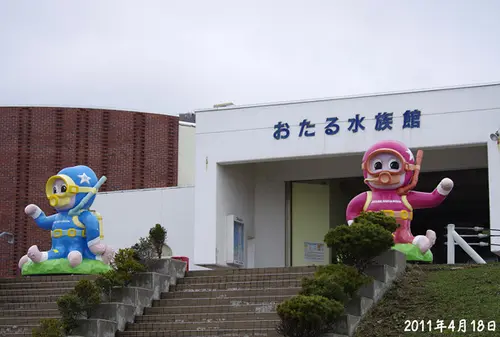 カンナムスタイル　ならぬ　オタルスタイル
