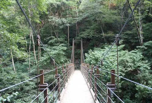 友達と行く初めての高尾山