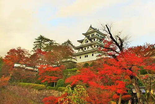 郡上八幡城→名もなきモネの池→鮎川へ