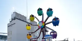 マツコの知らない世界【観覧車編】