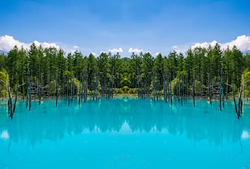 全国の行きたいところ！🌳♨️