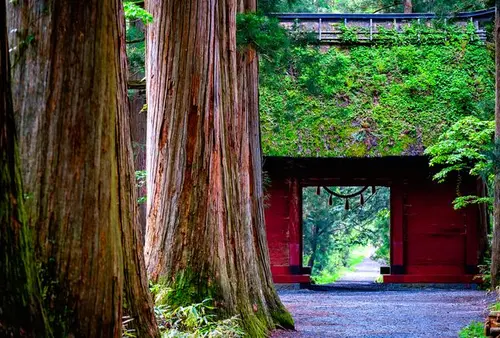 新春🎍開運旅🎍でパワーアップ💪