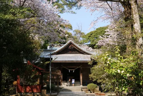 【宮崎恋旅♡】恋の始まりはみそぎから！宮崎・西都エリアで心を清めて恋の神々に近づく旅！