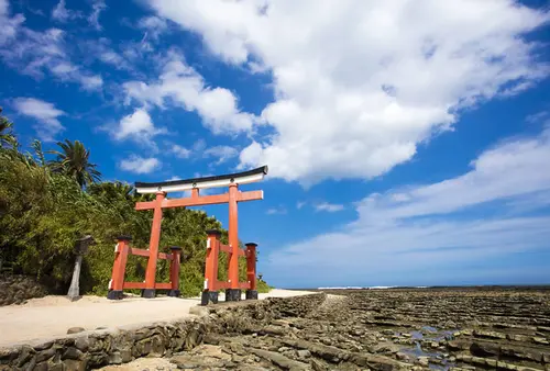 【宮崎・南部】開放感いっぱい！魅力あふれる青島や都井岬で、優しい自然の懐に包まれよう！