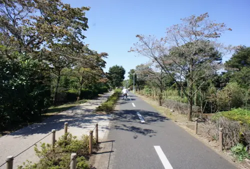 初心者にお勧め！多摩湖サイクリングロードとカフェめぐり