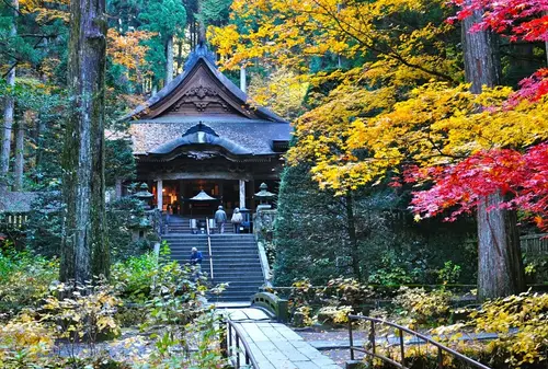 秋の駒ヶ根高原で紅葉を満喫！