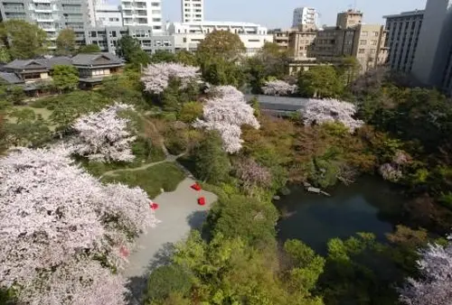 春だ花見だ白金だ!!大人向けの白金台散歩♪