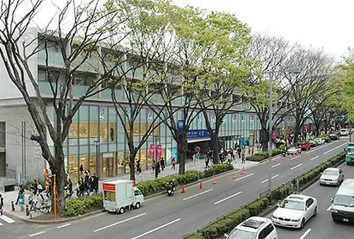 オシャレな街！表参道・原宿・青山をまるっと巡るおすすめデートコース🌷