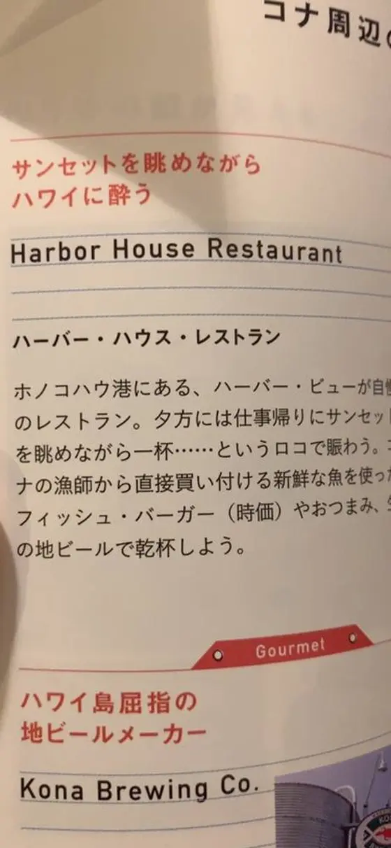 スポット内のおすすめ