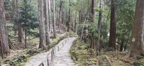 神聖な雰囲気
